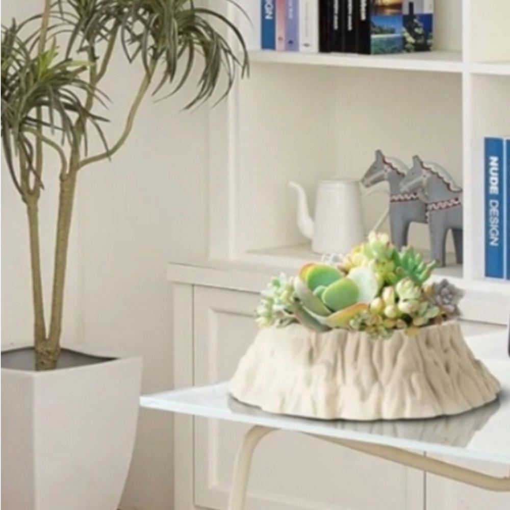 Succulent Modern Planter Plant holder pottery large pot